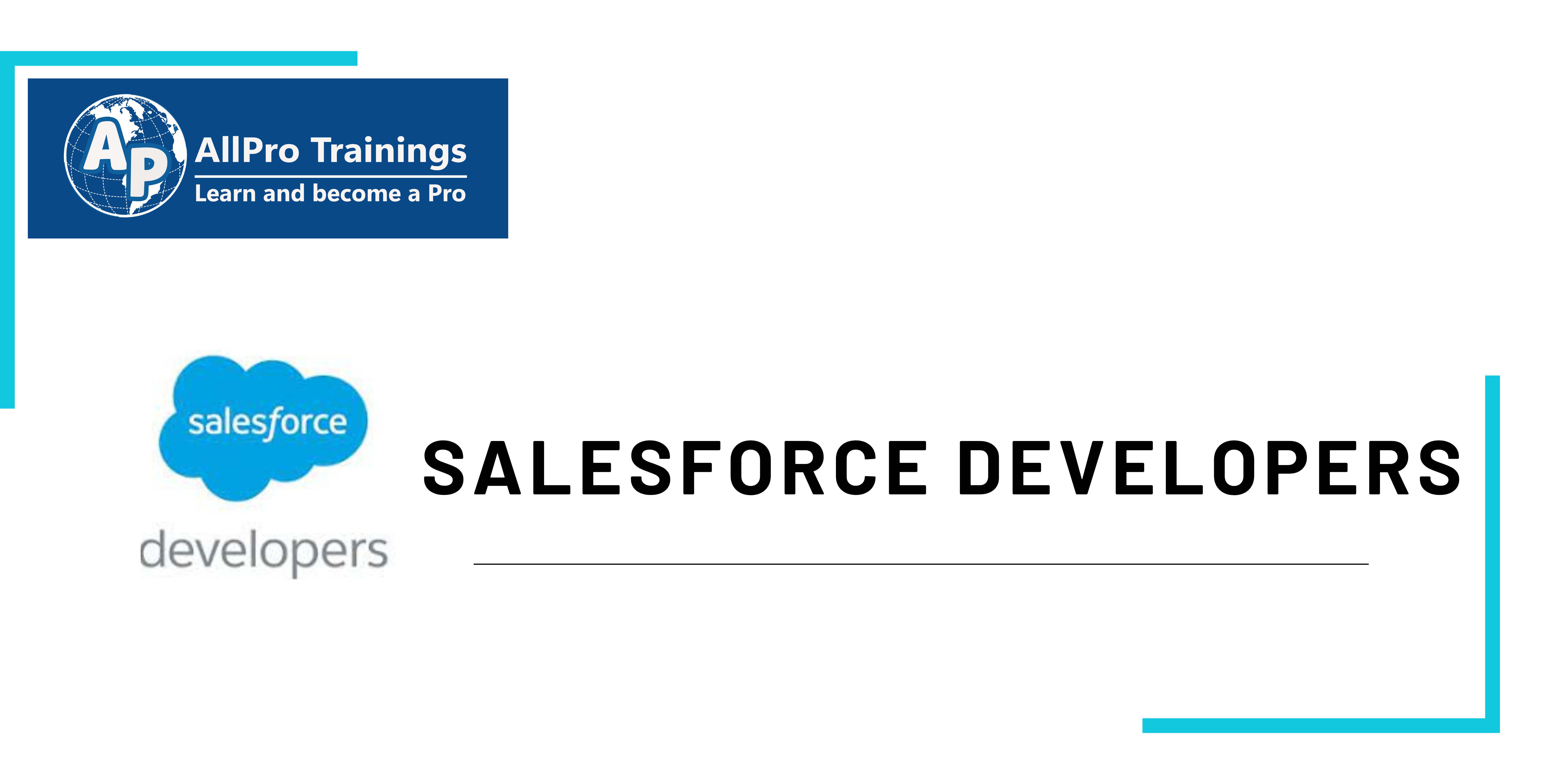 Salesforce Developer