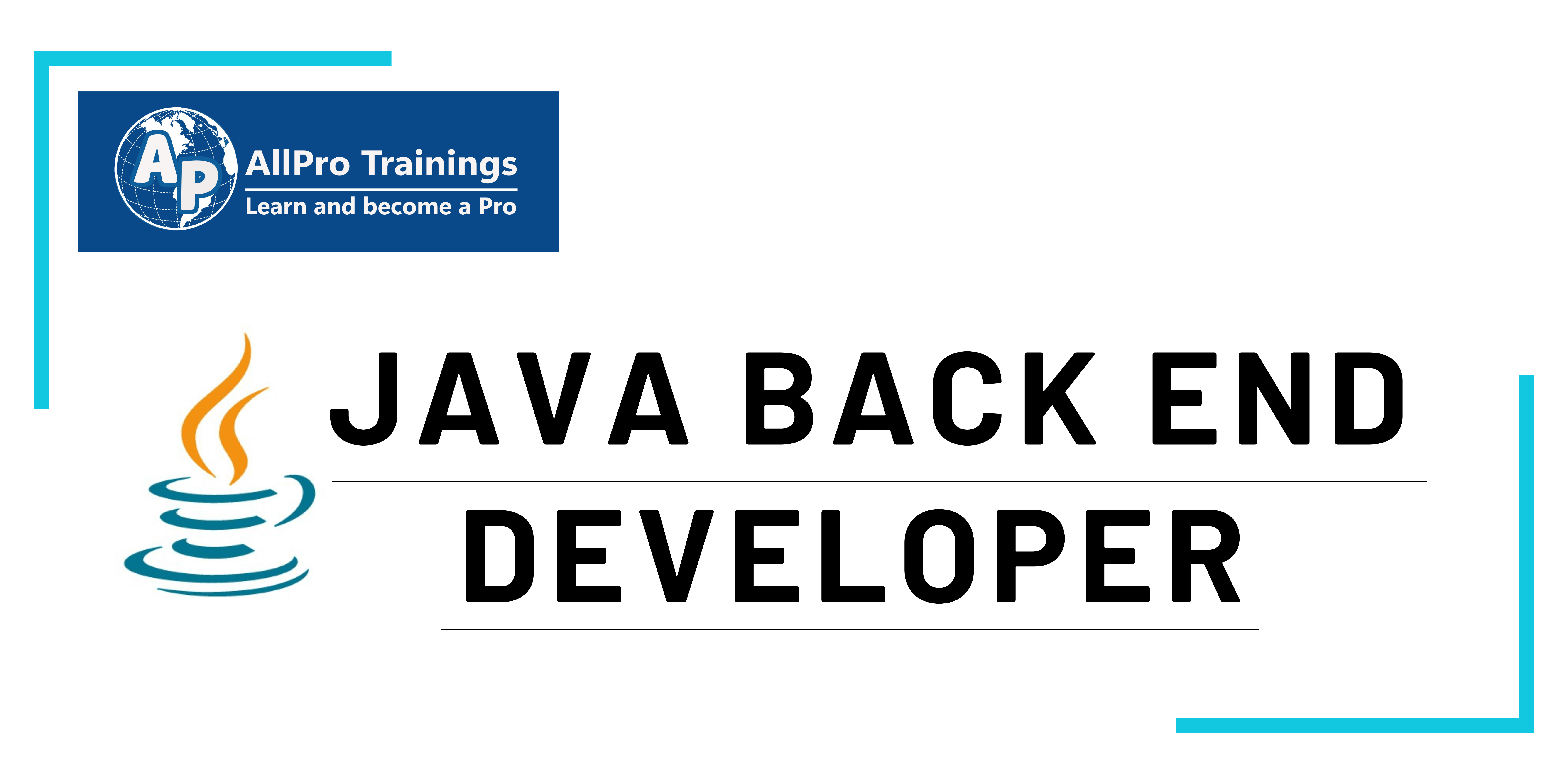 Java Back End Developer